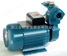 WZB（S）型微型清水旋涡式自吸电泵