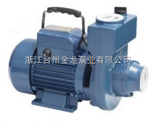 ZDK型离心式自吸微型清水电泵