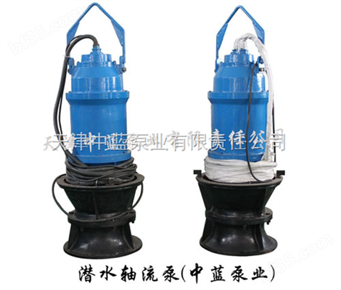 供应优质排污泵排积水泵抢险抗灾水泵